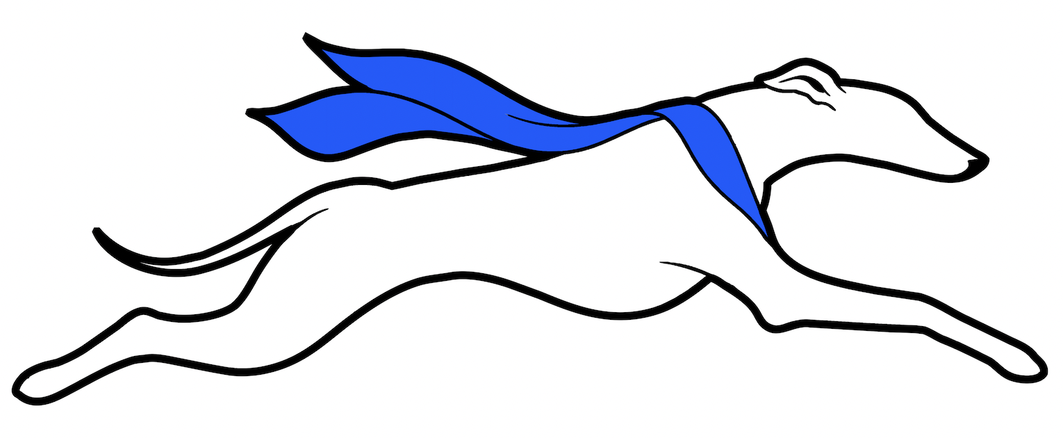 Speedy Sash logo